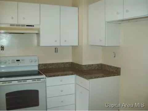 1717 S Pasfield, Springfield, IL 62704 photo 9