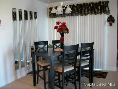 220 Independence Blvd, Chatham, IL 62629 photo 8