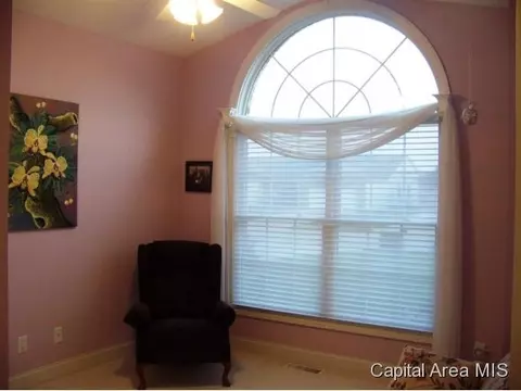 3917 Lear Dr, Springfield, IL 62711 photo 15