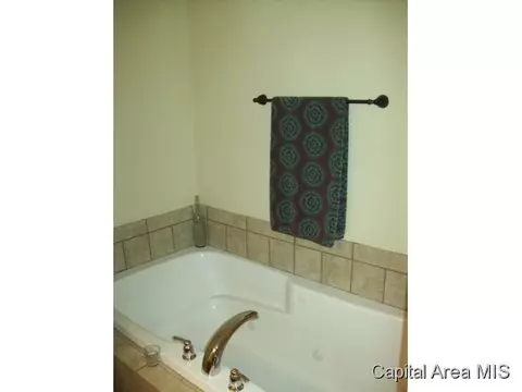 4413 Clearwater Ln, Springfield, IL 62703 photo 13