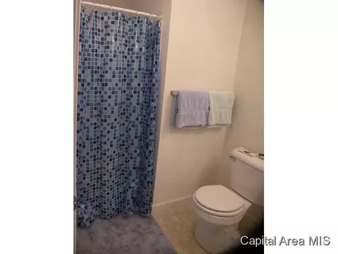 2826 Cronin, Springfield, IL 62711 photo 21
