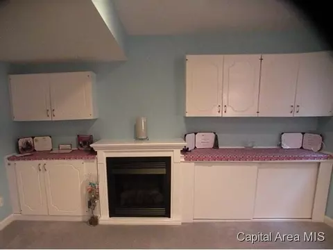 2826 Cronin, Springfield, IL 62711 photo 19