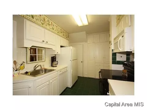 1304 Bates Ave, Springfield, IL 62704 photo 8
