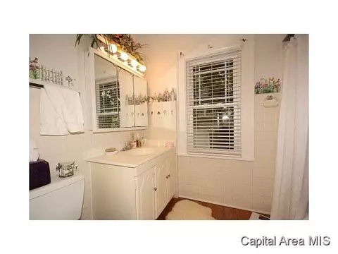 1306 Bates Ave, Springfield, IL 62704 photo 15