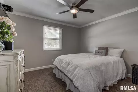 3900 Jonquil Drs, Springfield, IL 62707 photo 21