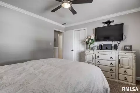 3900 Jonquil Drs, Springfield, IL 62707 photo 22