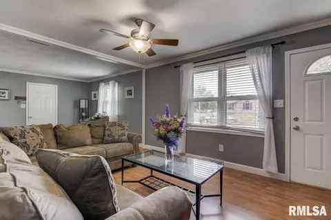 3900 Jonquil Drs, Springfield, IL 62707 photo 19