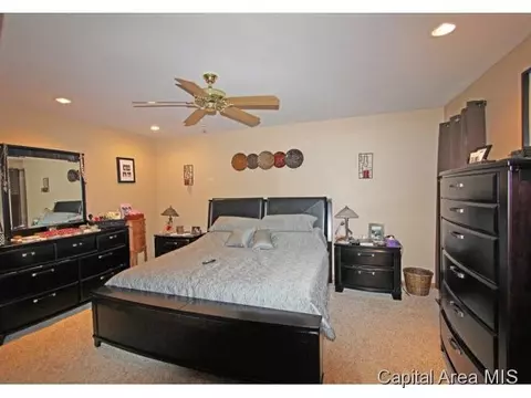 315 Eagle Rdg, Chatham, IL 62629 photo 10