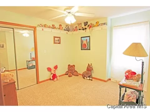 315 Eagle Rdg, Chatham, IL 62629 photo 13