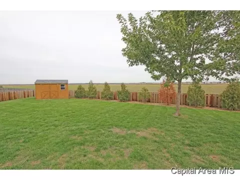 315 Eagle Rdg, Chatham, IL 62629 photo 21