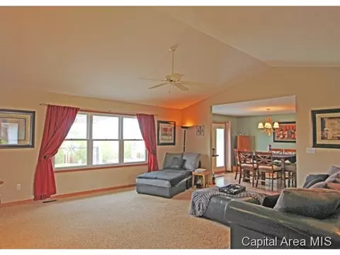 315 Eagle Rdg, Chatham, IL 62629 photo 6