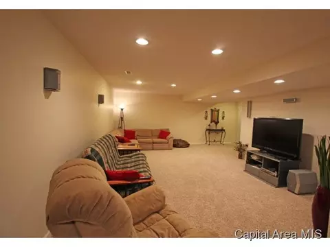 315 Eagle Rdg, Chatham, IL 62629 photo 17