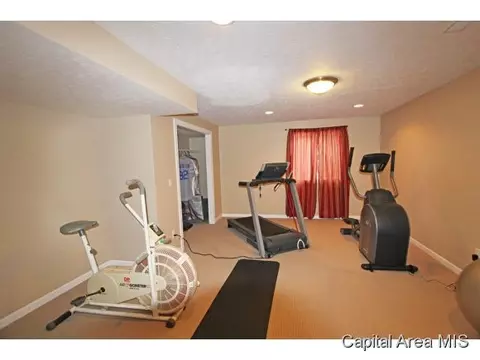 315 Eagle Rdg, Chatham, IL 62629 photo 19
