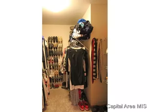 315 Eagle Rdg, Chatham, IL 62629 photo 12