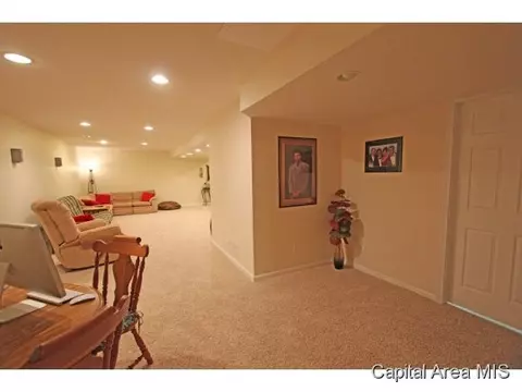 315 Eagle Rdg, Chatham, IL 62629 photo 18