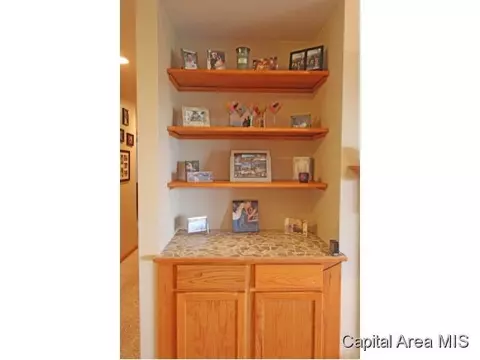 315 Eagle Rdg, Chatham, IL 62629 photo 5