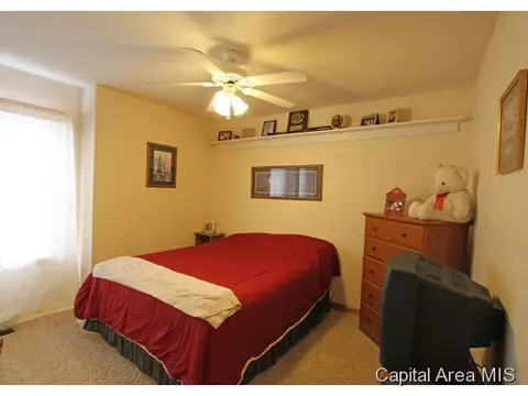 315 Eagle Rdg, Chatham, IL 62629 photo 14