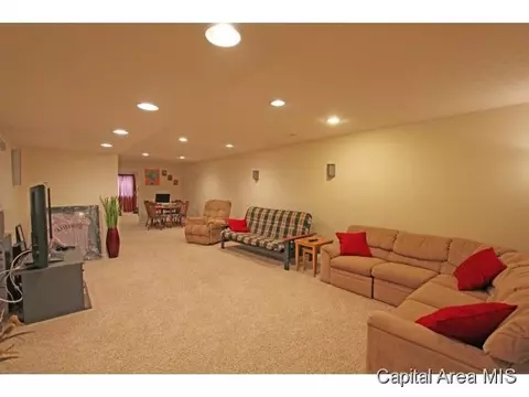 315 Eagle Rdg, Chatham, IL 62629 photo 16