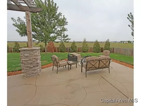 315 Eagle Rdg, Chatham, IL 62629 photo 22