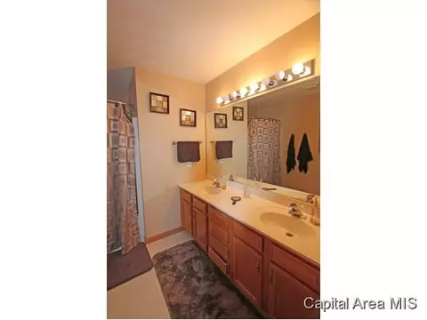 315 Eagle Rdg, Chatham, IL 62629 photo 11