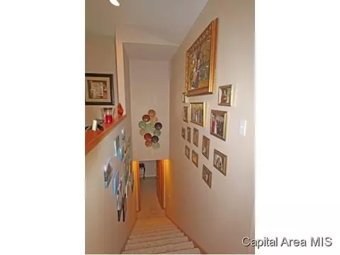 315 Eagle Rdg, Chatham, IL 62629 photo 15