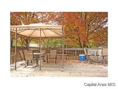 313 N Natchez Trce, Springfield, IL 62711 photo 23
