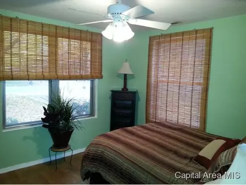 2132 S Walnut, Springfield, IL 62704 photo 9