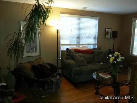 2132 S Walnut, Springfield, IL 62704 photo 3
