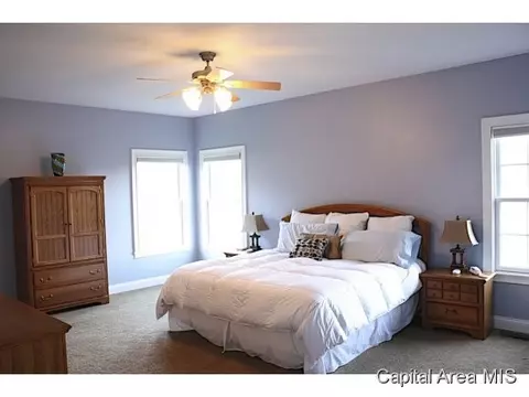 2105 Harbor Lndg, Springfield, IL 62712 photo 15