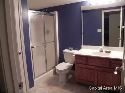310 Eagle Ridge Dr, Chatham, IL 62629 photo 10