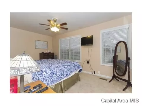 5 Sycamore Row, Springfield, IL 62702 photo 16