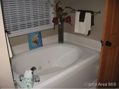 3909 Mapleshade, Springfield, IL 62712 photo 16
