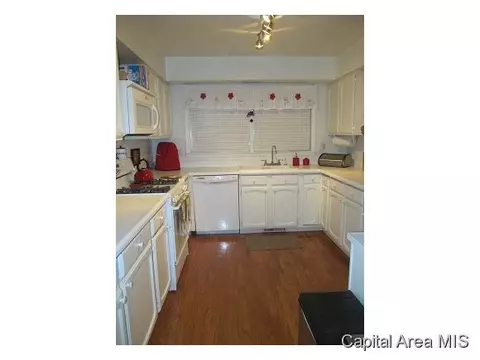 2336 Bates Ave, Springfield, IL 62704 photo 13