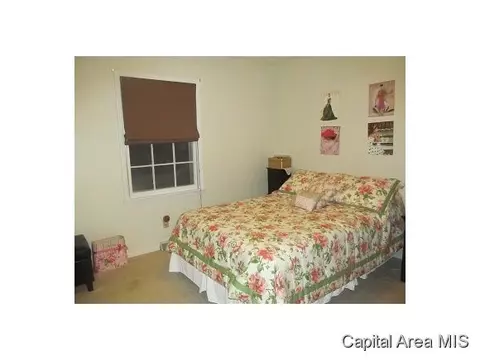 2336 Bates Ave, Springfield, IL 62704 photo 9