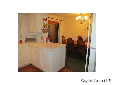 2336 Bates Ave, Springfield, IL 62704 photo 15