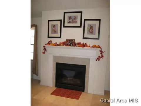 2005 Persimmon, Chatham, IL 62629 photo 6