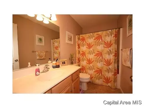 2005 Persimmon, Chatham, IL 62629 photo 24