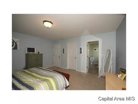 2005 Persimmon, Chatham, IL 62629 photo 12