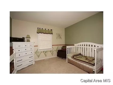2005 Persimmon, Chatham, IL 62629 photo 19