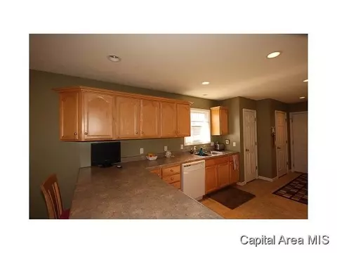 2005 Persimmon, Chatham, IL 62629 photo 9