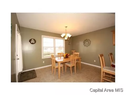 2005 Persimmon, Chatham, IL 62629 photo 11