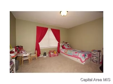 2005 Persimmon, Chatham, IL 62629 photo 17