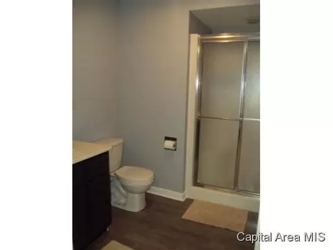 1837 S Walnut, Springfield, IL 62704 photo 18