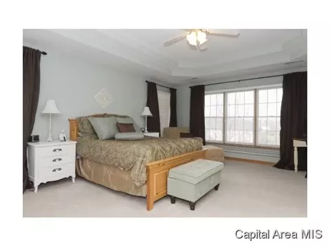 2304 Mariners Point Ln, Springfield, IL 62712 photo 16
