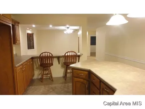 883 E 500 North Rd, Morrisonville, IL 62546 photo 4
