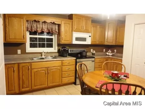 883 E 500 North Rd, Morrisonville, IL 62546 photo 8