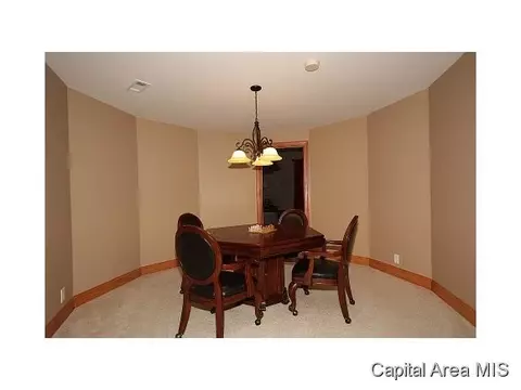 7727 W Outer Rd, Sherman, IL 62684 photo 20