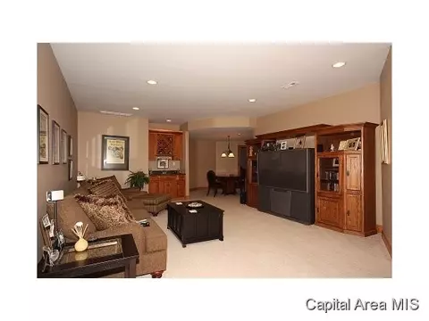 7727 W Outer Rd, Sherman, IL 62684 photo 19