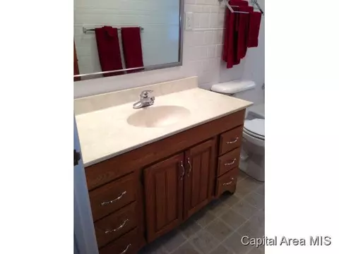2108 Parkview Dr, Springfield, IL 62704 photo 11