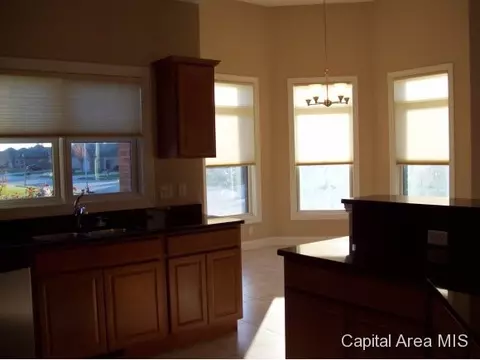 2317 Silver Stone Ct, Springfield, IL 62704 photo 7